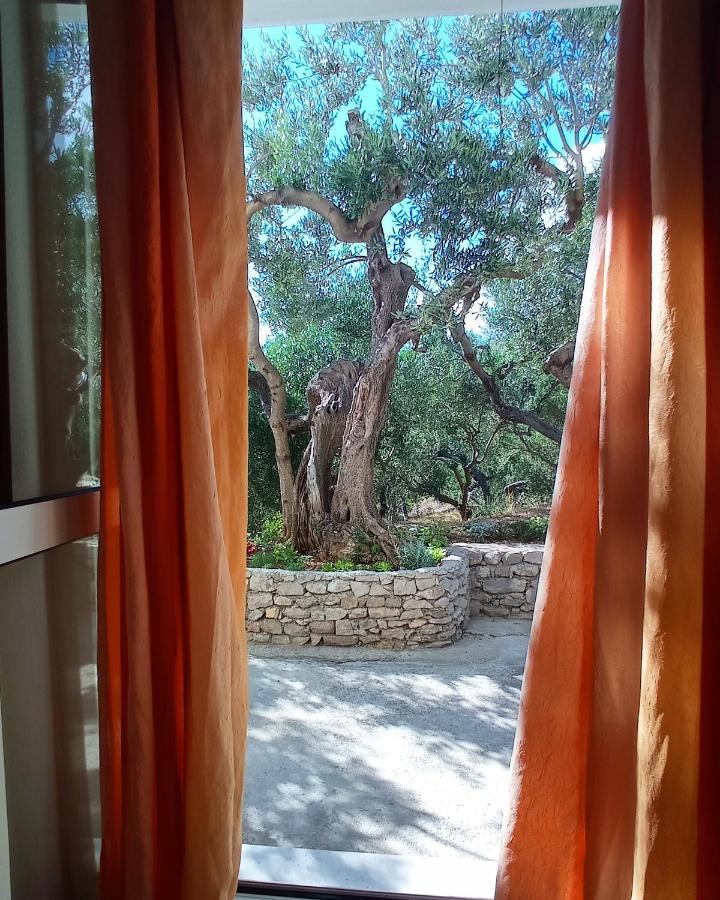 Casa Del Olivo Lägenhet Tučepi Exteriör bild