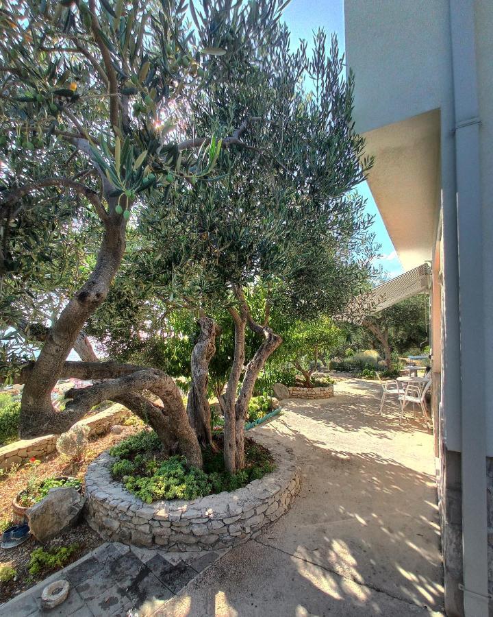 Casa Del Olivo Lägenhet Tučepi Exteriör bild