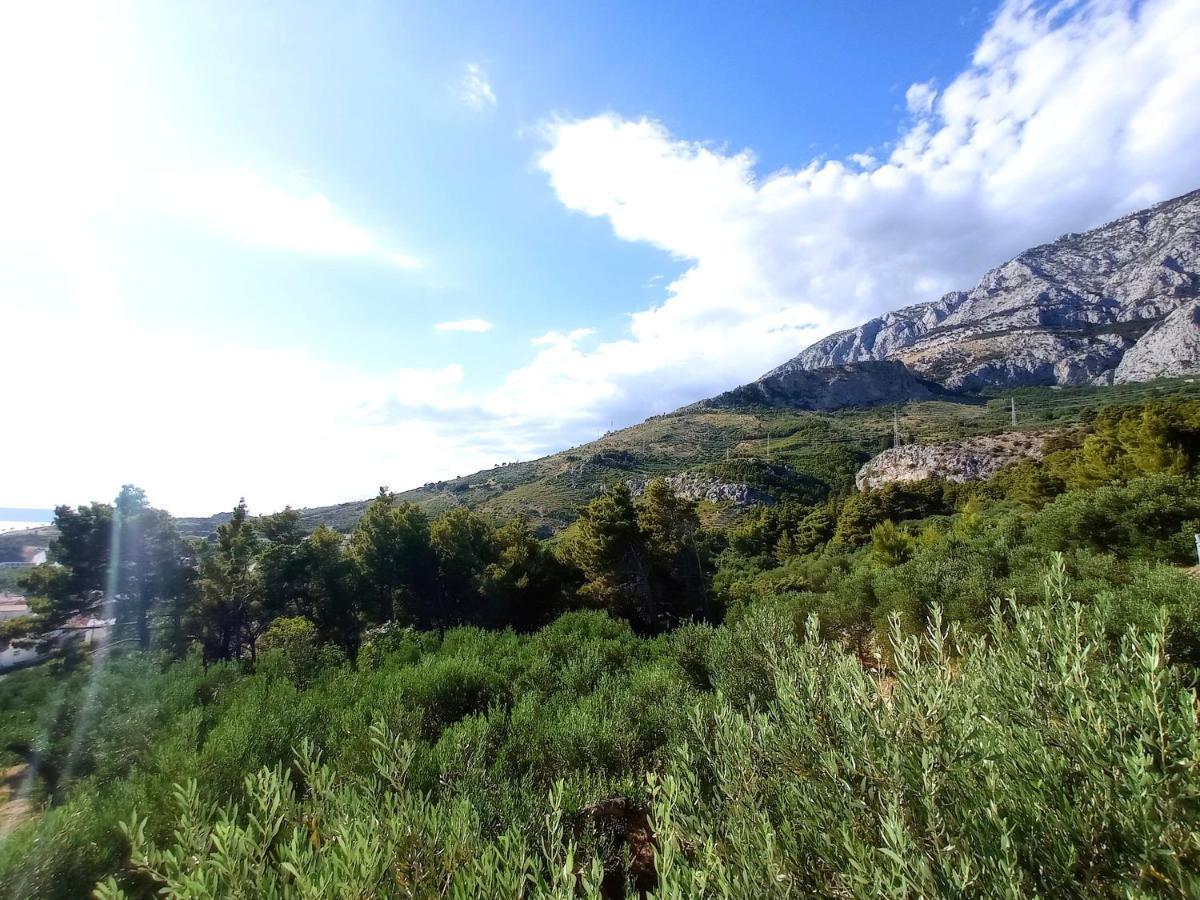 Casa Del Olivo Lägenhet Tučepi Exteriör bild